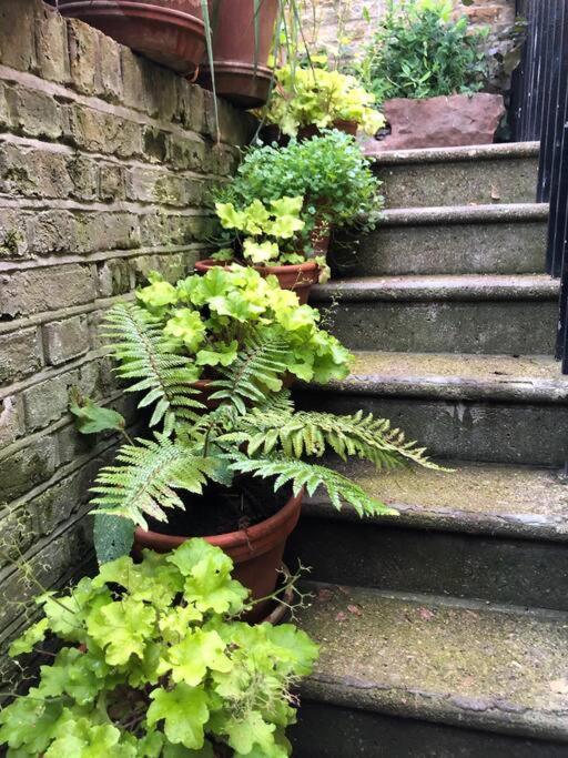 Villa Kings Cross, Self-Contained House & Private Garden à Londres Extérieur photo