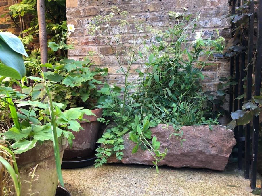 Villa Kings Cross, Self-Contained House & Private Garden à Londres Extérieur photo